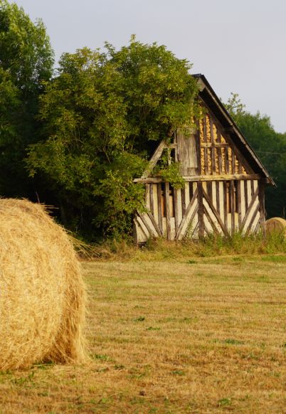 Grange à colombages et botte de foin dans un champ, visuel page contact LebonDiag